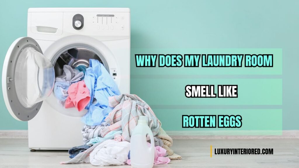 Why Does My Laundry Room Smell Like Rotten Eggs?